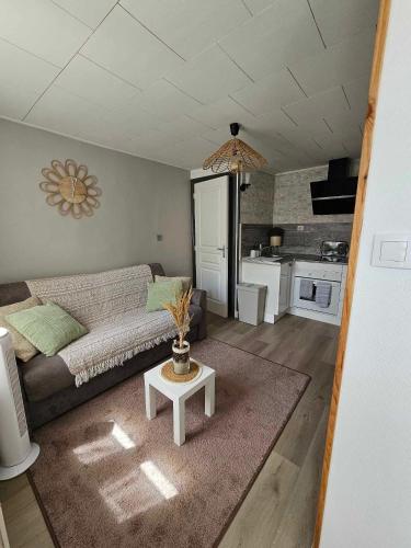 un salon avec un canapé et une table dans l'établissement APPARTEMENT COTE D'OPALE, à Boulogne-sur-Mer