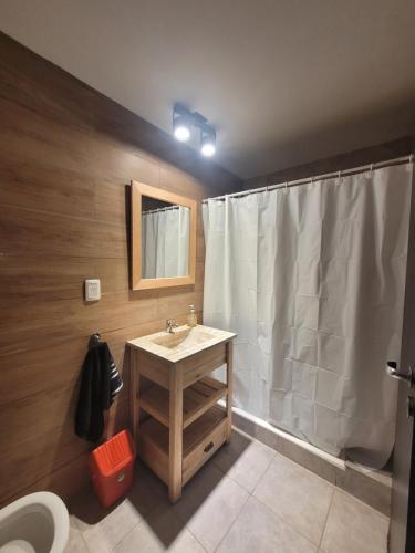 uma casa de banho com um lavatório e uma cortina de chuveiro em Zona Alta em San Fernando del Valle de Catamarca
