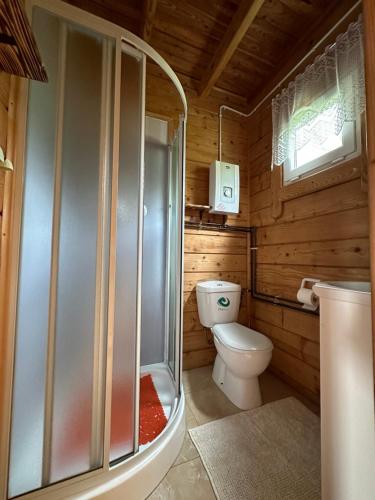 y baño pequeño con aseo y ducha. en Domki letniskowe Stary dąb, en Solina
