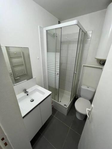 a bathroom with a shower and a sink and a toilet at Studio proche La Defense in Puteaux