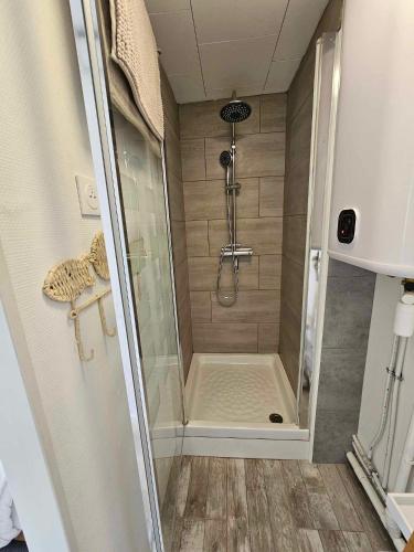 um chuveiro com uma porta de vidro na casa de banho em APPARTEMENT COTE D'OPALE em Boulogne-sur-Mer
