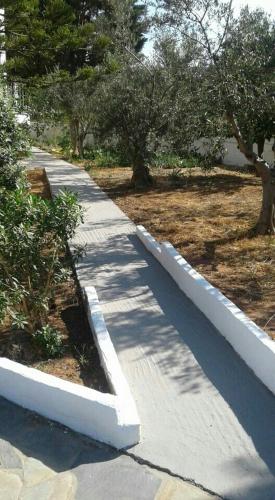 a concrete sidewalk with trees in a park at The Captain in Elafonisos
