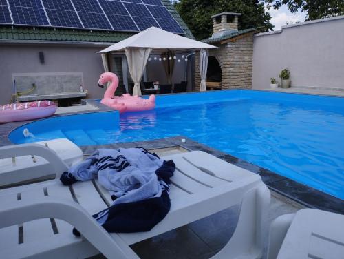a swimming pool with a pink flamingo and a swimming pool at Villa Klaudija in Petrovaradin