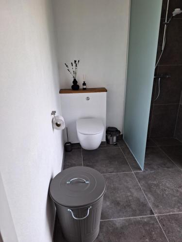 a small bathroom with a toilet and a shower at EngholmBB in Odense