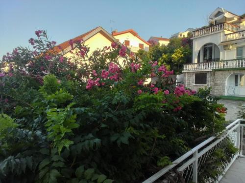 a bush of flowers in front of a building at Seaview Apartments in Krasici