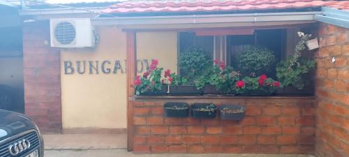 Fotografie z fotogalerie ubytování Guest house Mirijevski Konak v Bělehradě
