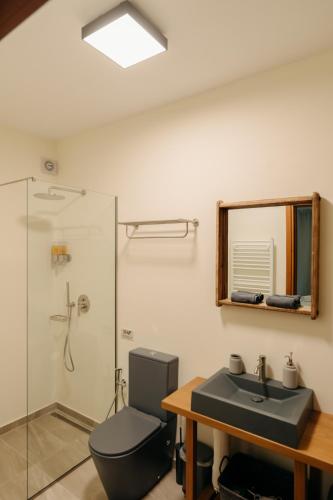 a bathroom with a sink and a toilet and a mirror at Real Life Homes luxurious seafront villas each with their own private pools in Korakokhórion