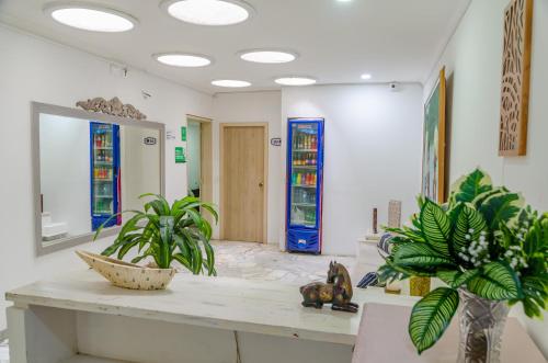 卡塔赫纳Casa Franco Hotel的大堂设有植物和彩色玻璃窗