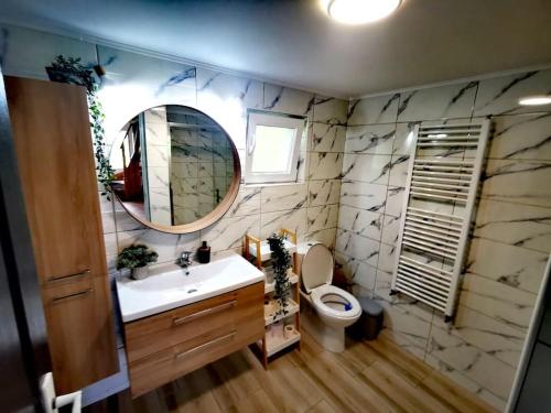 ein Badezimmer mit einem Waschbecken, einem WC und einem Spiegel in der Unterkunft Cabana Tudor in Aiud