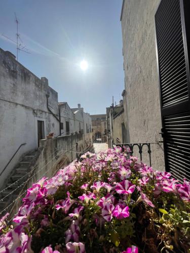 a bunch of pink flowers on the side of a building at B&B Al Castello in Sammichele di Bari