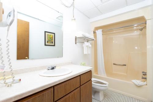 a bathroom with a sink and a toilet at Brentwood Motor Inn in Marquette