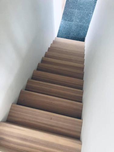 a staircase with wooden floors and a blue carpet at Single room in Trondheim