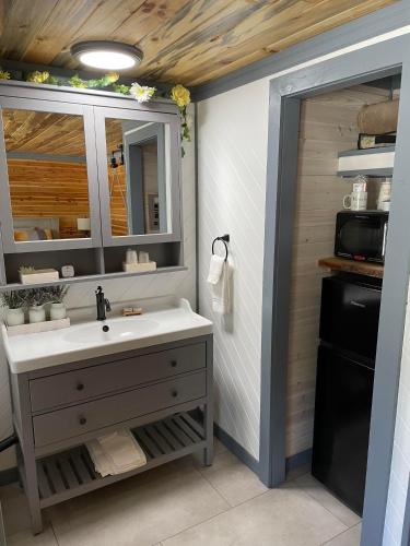 a bathroom with a sink and a mirror and a refrigerator at The Whispering Elms Motel in Baker