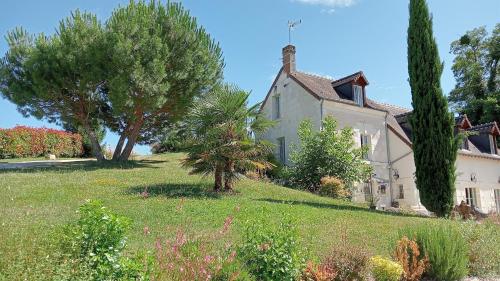 een huis op een heuvel met bomen en gras bij La Fontaine de la Chapinière CW à 5 KM du Zoo Park de Beauval in Châteauvieux