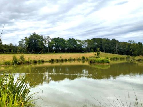 Landskap semula jadi dekat dengan rumah percutian