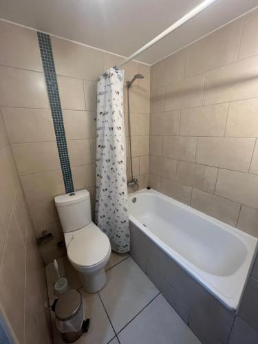 a bathroom with a toilet and a bath tub at Zenteno Apartments in Santiago