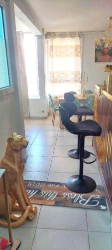 a living room with a dog sitting on a rug at Dolce Pace Kreyol in Cayenne