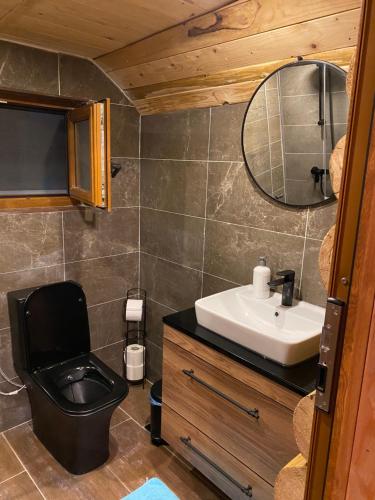 a bathroom with a sink and a toilet and a mirror at Ethno House Bektesevic in Gusinje
