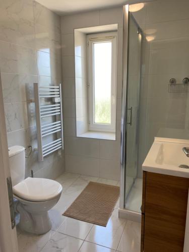 uma casa de banho com um WC, um chuveiro e um lavatório. em Maison des Balmes proche Lyon em Miribel
