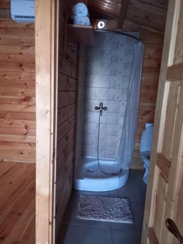 a bathroom with a shower and a toilet at Гостевой дом Фазенда in Pizunda
