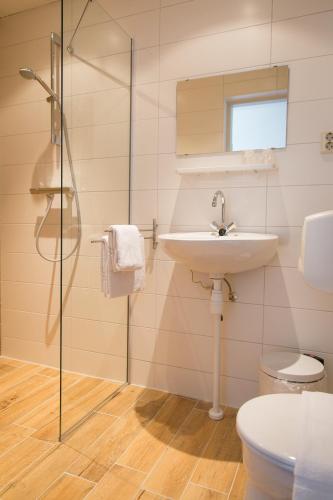 a bathroom with a sink and a toilet and a shower at Bed & Breakfast Van Marion in Oostvoorne
