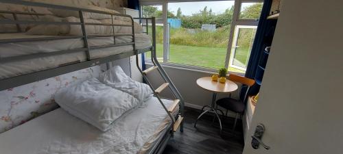 a small room with a bunk bed and a table at Rosehill Beach in Hemsby