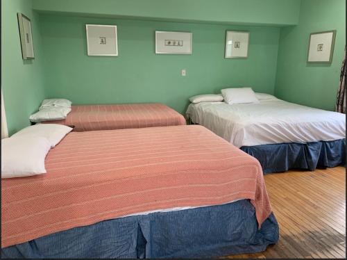 two beds in a room with green walls at Sun Shine in Wildwood