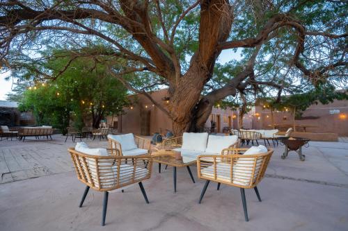 un gruppo di sedie e tavoli di fronte ad un albero di Hotel Don Raul a San Pedro de Atacama