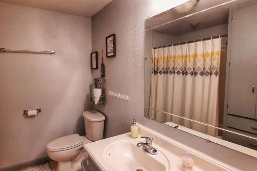 a bathroom with a sink and a toilet and a mirror at The Perfect Porch Retreat in Eufaula