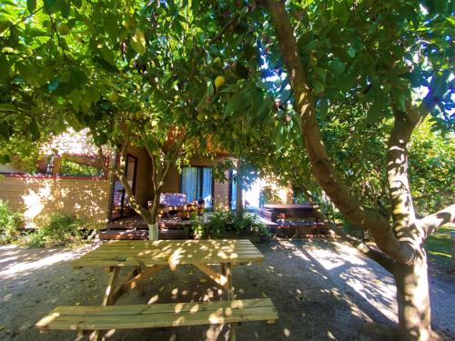 a picnic table under a tree in a park at Cabañas SPA Olmue in Olmué