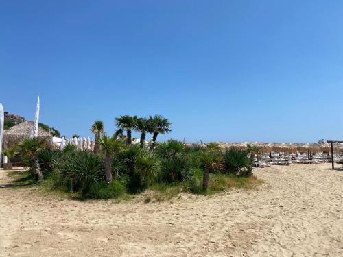 a beach with chairs and palm trees on it at TONI HOUSE 407 Apartment Sveti Vlas Beach in Sveti Vlas