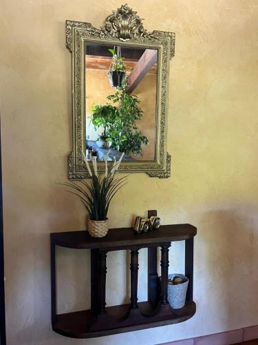 a mirror on a wall with a table with plants at Entre vignes et horizon Appartement avec jacuzzi privatif et piscine commune chauffée in Sablet