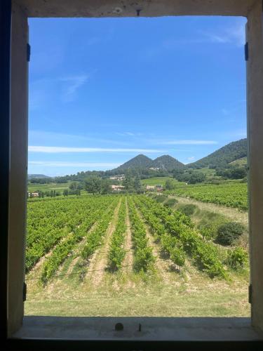 a view from a window of a vineyard at Entre vignes et horizon Appartement avec jacuzzi privatif et piscine commune chauffée in Sablet