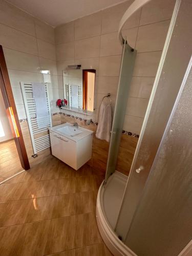 uma casa de banho com um lavatório e um chuveiro. em Aleja em Sarajevo