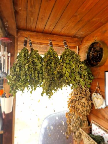 Φωτογραφία από το άλμπουμ του Mini saunahouse σε Bašķi