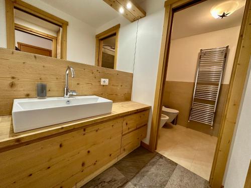 a bathroom with a sink and a toilet at Alpine Escape in Bormio