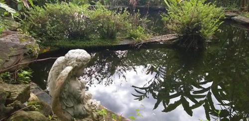 a reflection of a statue in a pond at SCHUMANN'S RESORT & PARK in Alto Boquete