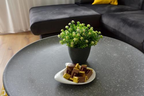 Apartment BURI