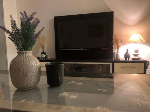 salon z telewizorem i wazonem z rośliną w obiekcie Apartment Nicola w mieście Mostar