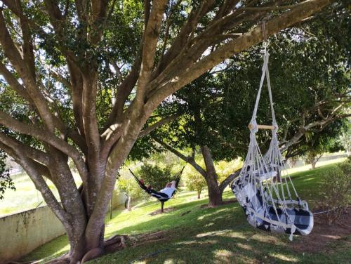 a swing hanging from a tree with a peacock in the background at POUSADA RECANTO SÃO JORGE in Águas de Lindóia