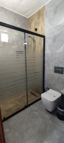 a bathroom with a glass shower and a toilet at Apart Turgutreis in Turgutreis