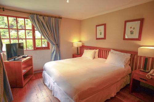 a bedroom with a large bed and a television at Hotel y Cabañas Palomar - Caja los Andes in San Felipe