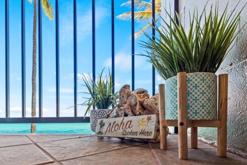 Noelani 302 في Kapalua-West Maui Airport: غرفة بها كرسي ونباتات ونافذة