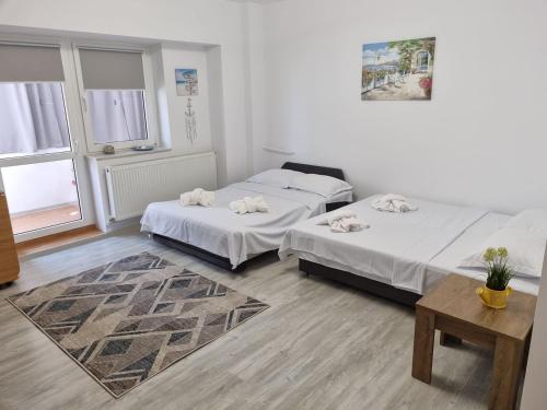 Zimmer mit 2 Betten, einem Tisch und Fenstern in der Unterkunft Constanta Studio 50mp in Constanţa