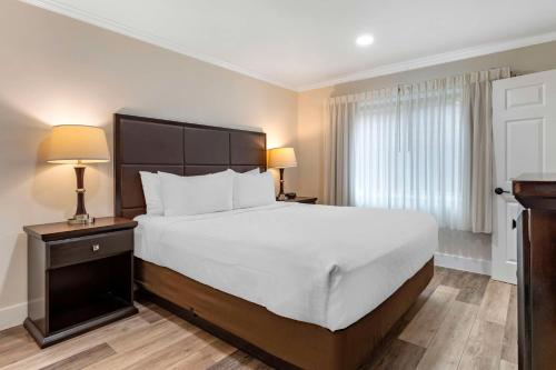 a hotel room with a large bed and a window at Best Western Carmel's Town House Lodge in Carmel