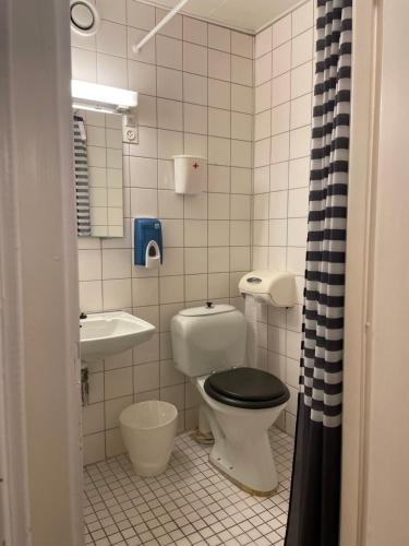 a bathroom with a toilet and a sink at Skjerdingen høyfjellshotell in Ringebu Østfjell