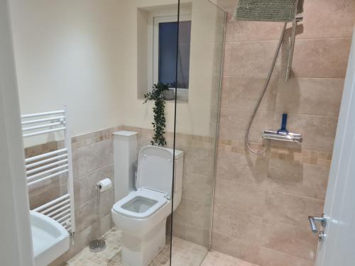 a bathroom with a toilet and a shower at Crabtree House in Moreton
