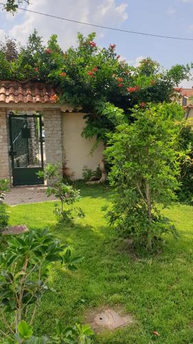 uma pequena casa com uma árvore com flores em Villa Martini dei Rossi em Sanfrè