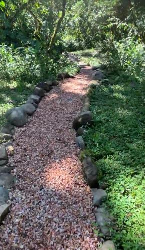 Giardino di Magic Elf Glamping