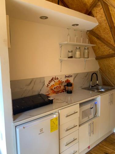 a small kitchen with a refrigerator and a sink at Magic Elf Glamping in Mindo